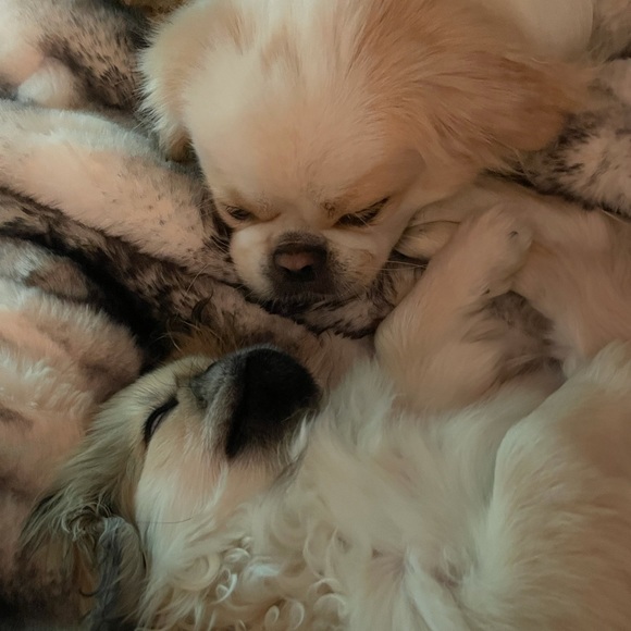 Meet your Posher, Melanie - Picture 14 of 16